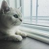 sanko0310